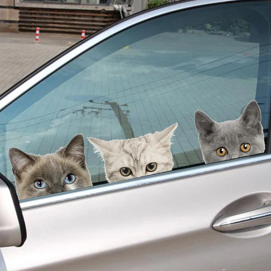 3D Peeking Cat & Dog Car Sticker – Funny Animal Decal